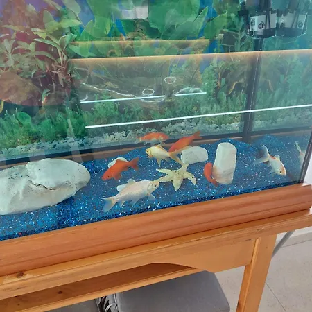 Restaurant Aequum Seafood House Готель